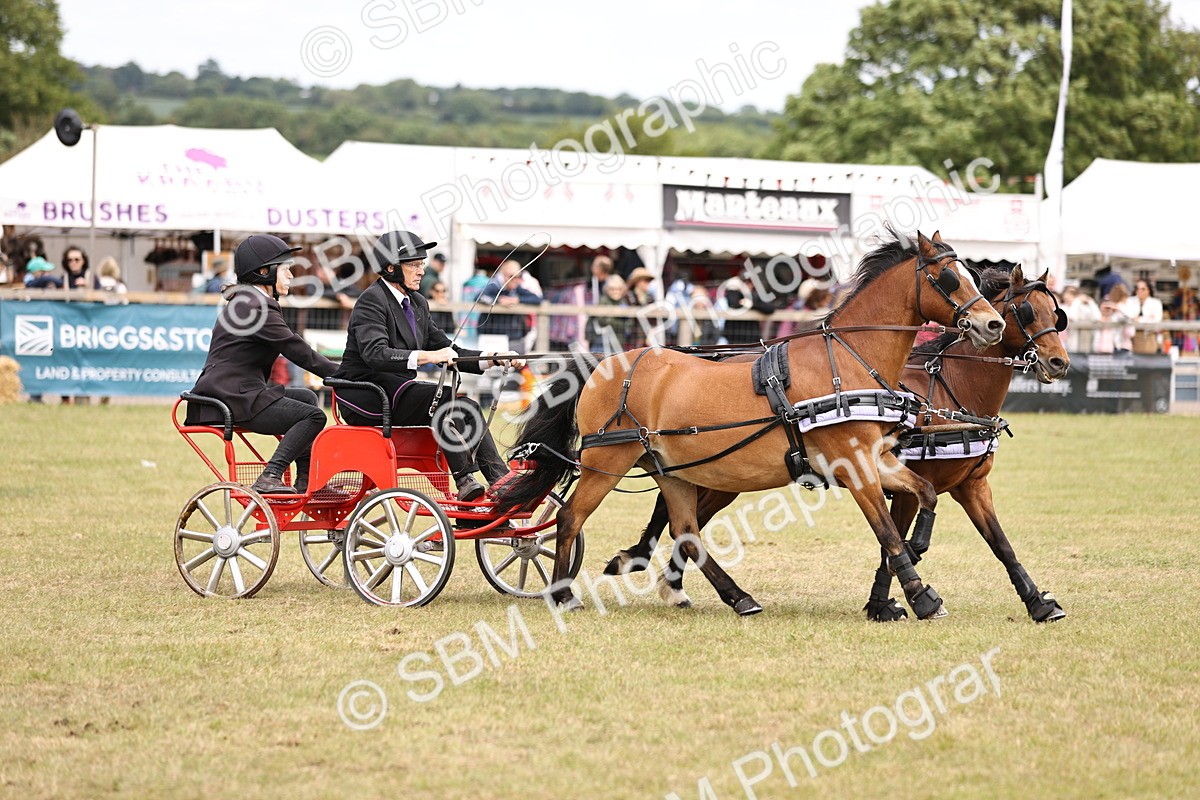 SBM_16111 - Class 91 - Scurry  exceeding 122cms