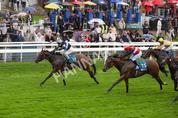 080924-Race 2-Duran-4379 - Race 2 2.15pm Fine Details Vehicle Valeting Handicap