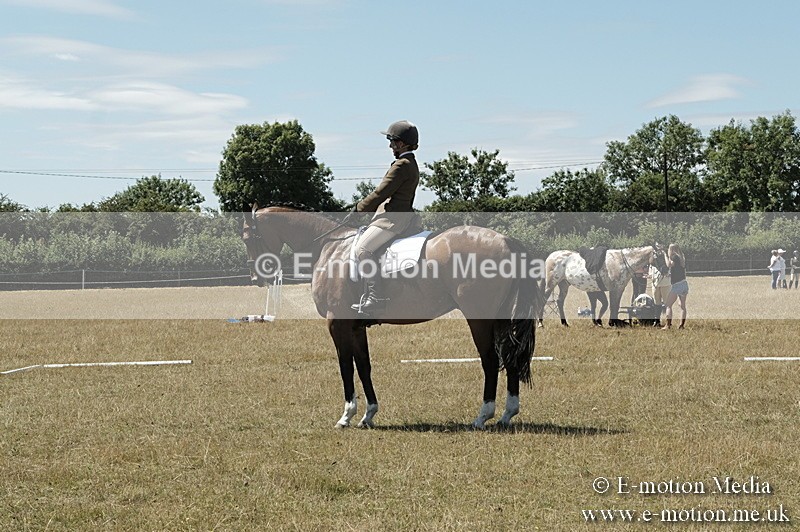 _PJP5944 - Dressage Classes BVRC Show 2018
