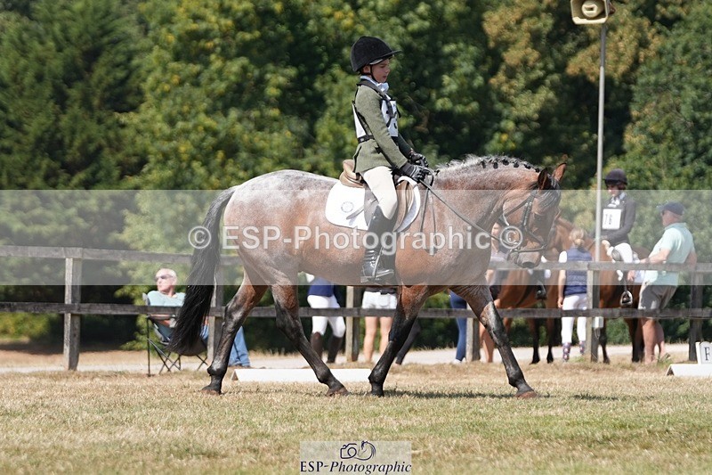 250823A-133352-31223 - Arena A