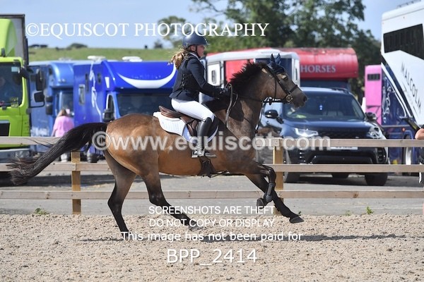 BPP_2414 - DERBY CLASS 7 - 80CM