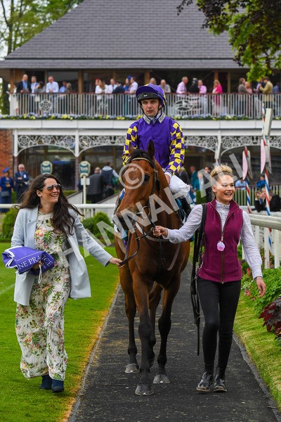 190523-Race 6-Eligible-0862 - Race 6 4.45pm Yorkshire Equine Practice Handicap