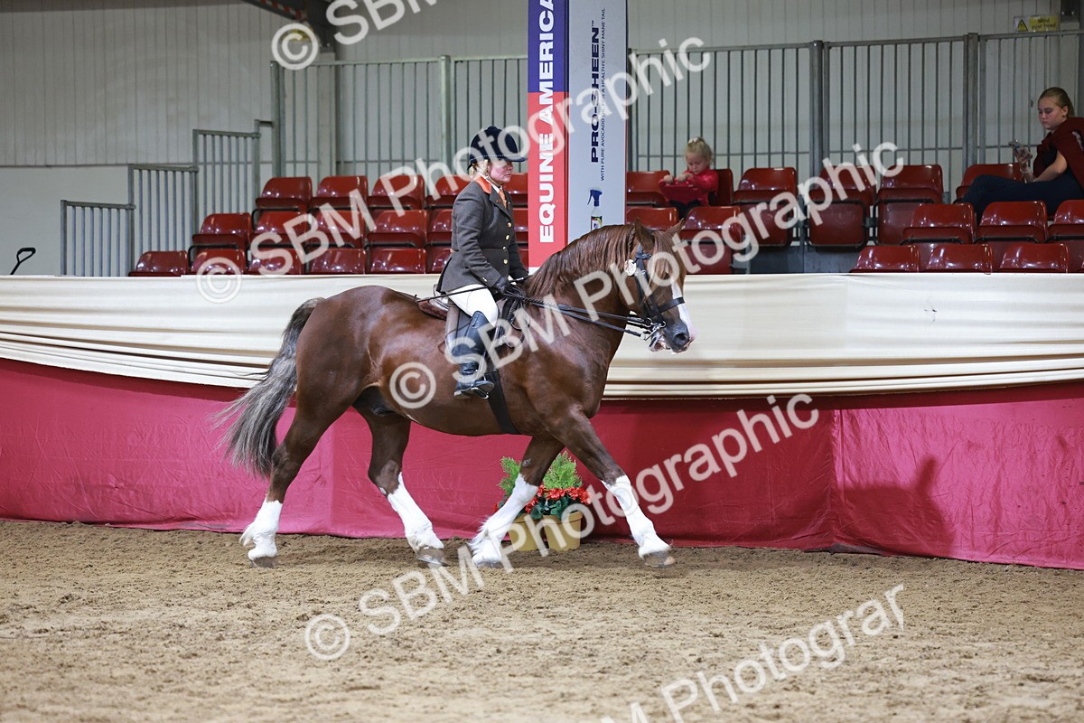 SBM_18703 - Class 952 - M&M Ridden Supreme Final