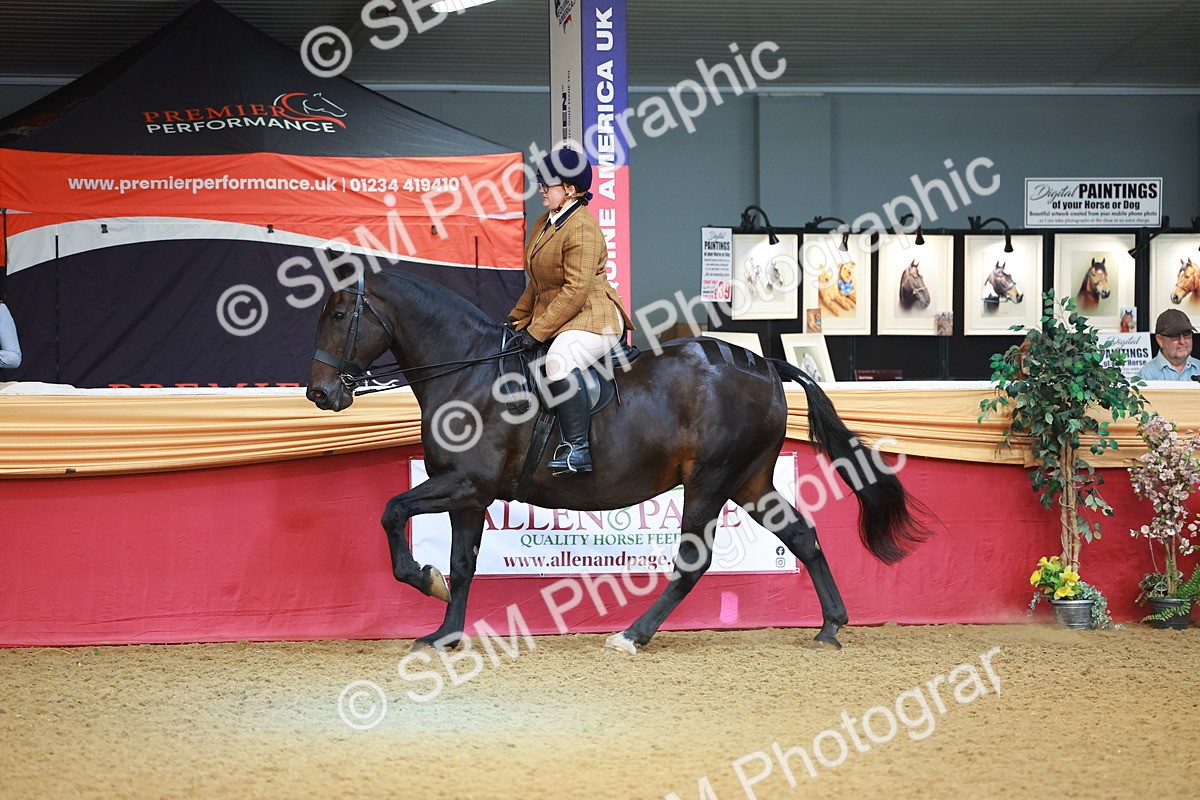 SBM_09511 - Class 102 - HOYS Veteran Qualifier - Ridden Veteran