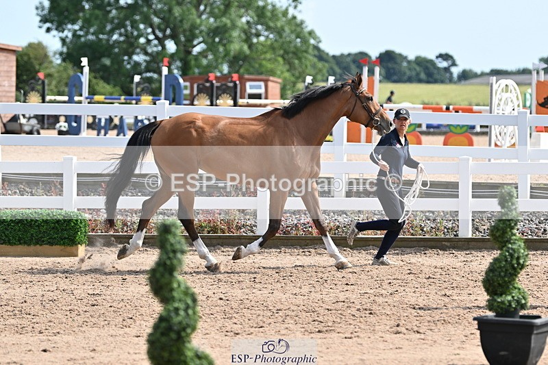 240717A-160139-03267 - Trot Up 4pm to 5pm