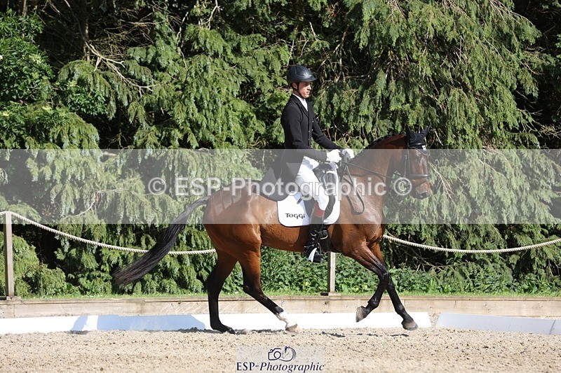 230526-171507-07934 - 176-TENZ-Will_Rawlin-WEDTrotUp+DR