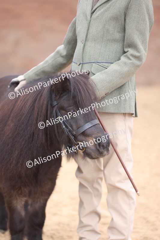 20251109-0309 - Class 13 - Mares 4 Years and Over