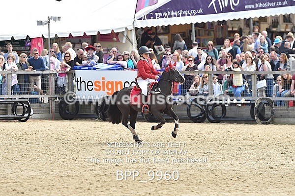 BPP_9960 - RHS 2019 Selection - *Just some random spectator shots so Lucky Dip if you are there!