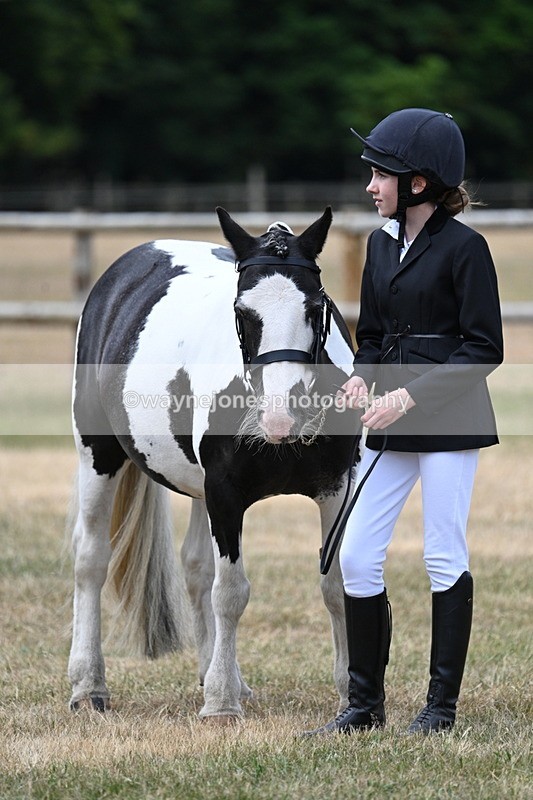 WJ7_1507 - Class 4 Prettiest Mare up to 14.2hh in hand