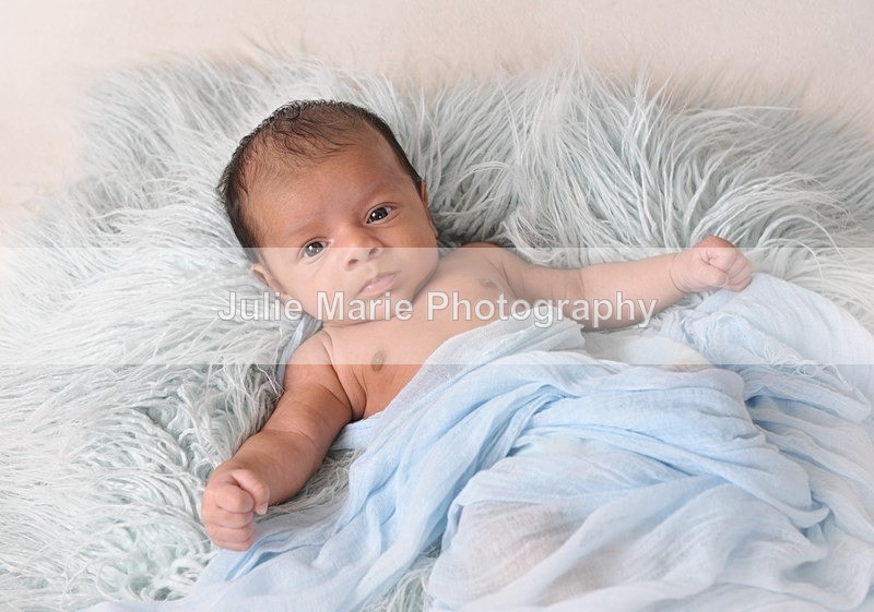 DSC_0951 - Taran