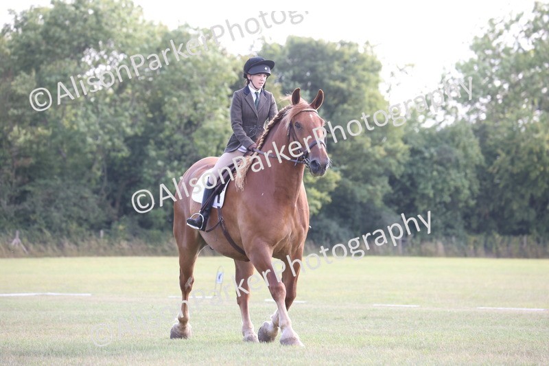 20250731-0562 - Class 1 - Intro 4