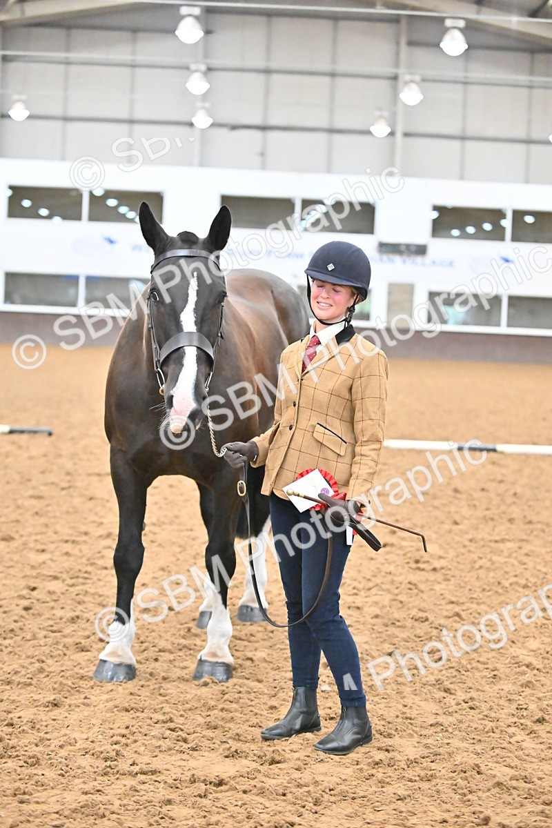 SBM_000104 - Class 4 - BSHA In Hand Show Cob