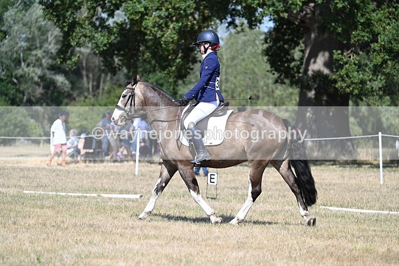 WJ7_0145 - Time 11:03 to 11:28