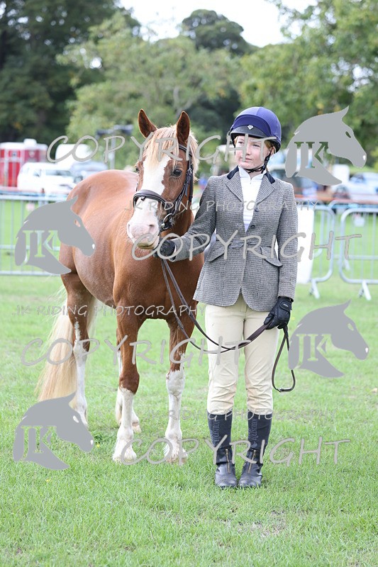 APP_2622 - Class 9 Veterans in hand