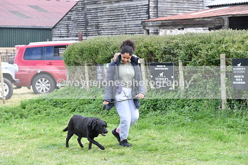 WJ5_0024 - Class 5 Best Veteran / 7 years & over