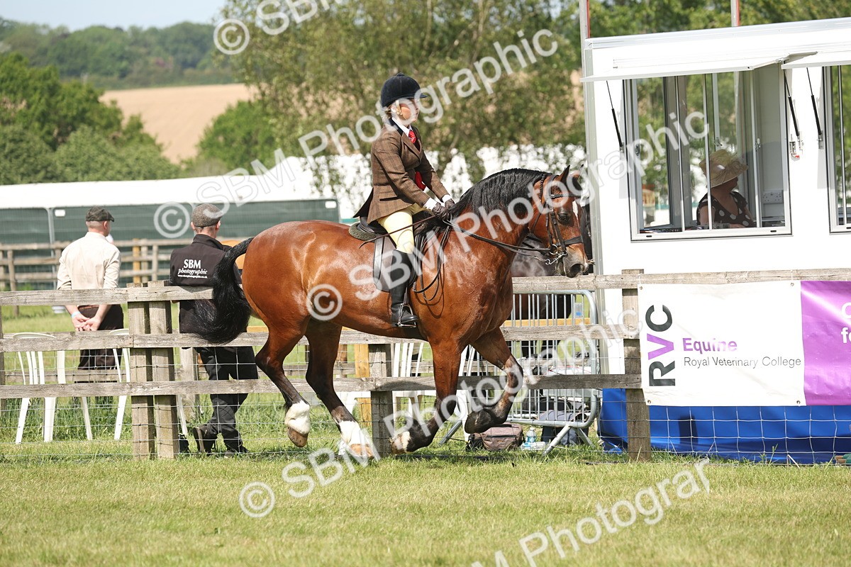 SBM_07679 - Class 26-30 - Mountain and Moorland Ridden