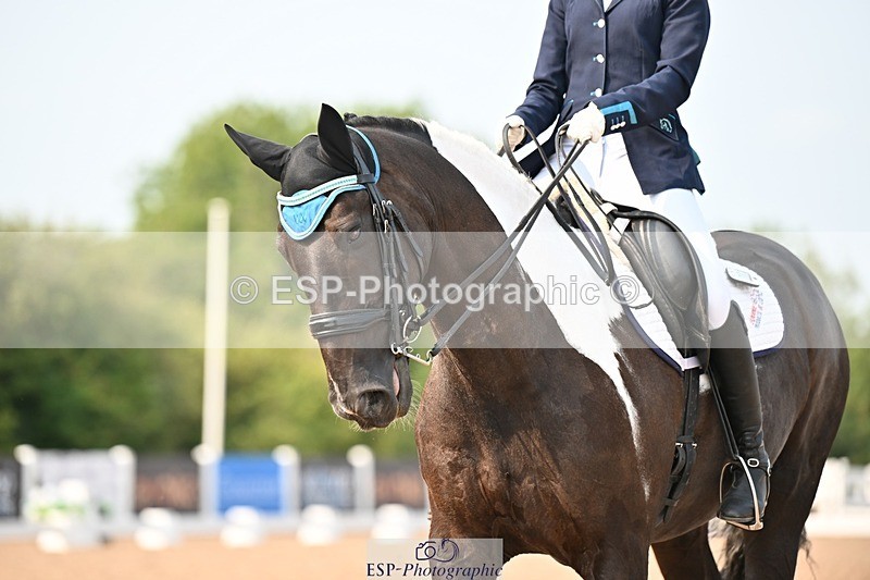 250816-153646-05911 - 037-Alys.MatraversTiger.Mazariti