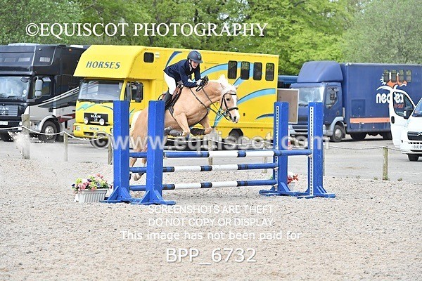 BPP_6732 - CLASS 2 FRI Club/ Unaffiliated 80cms Open