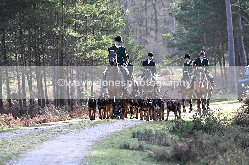 WJ7_7631 - Line 3 (no line 4 or 5)