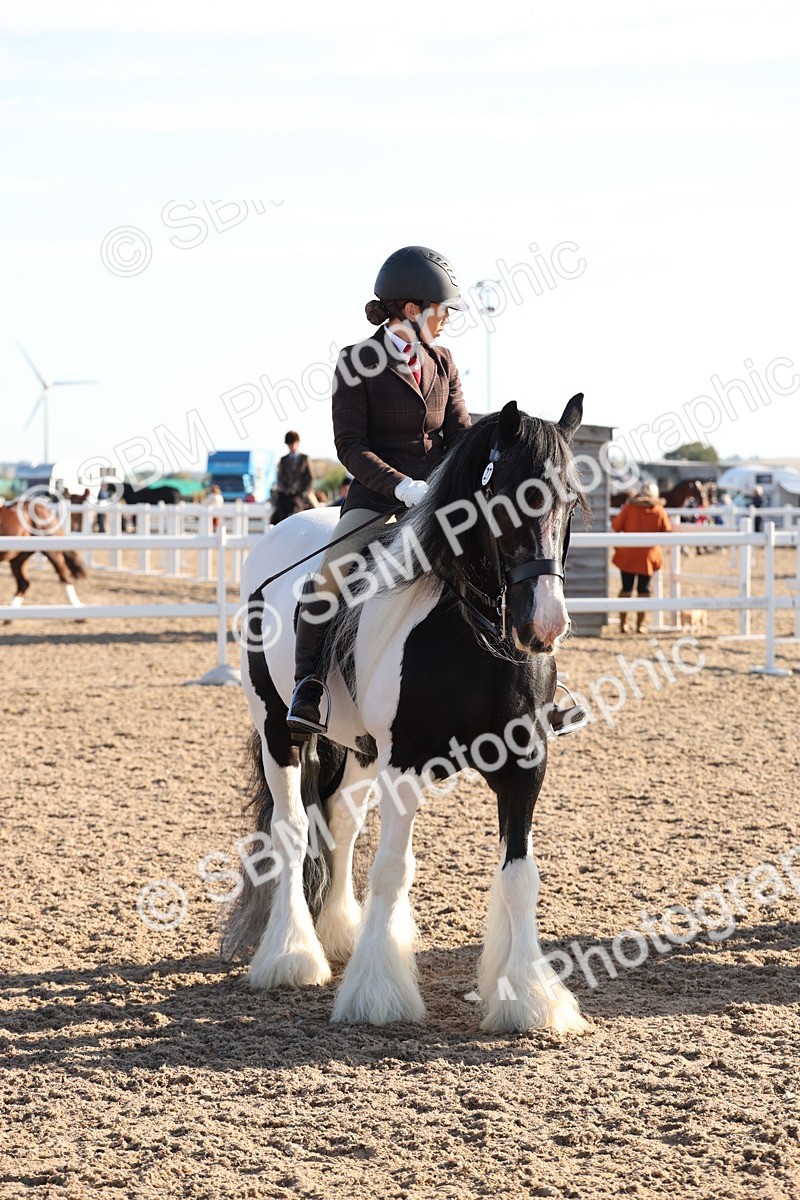 SBM_10834 - Class 202 - Best Turned Out - Ridden