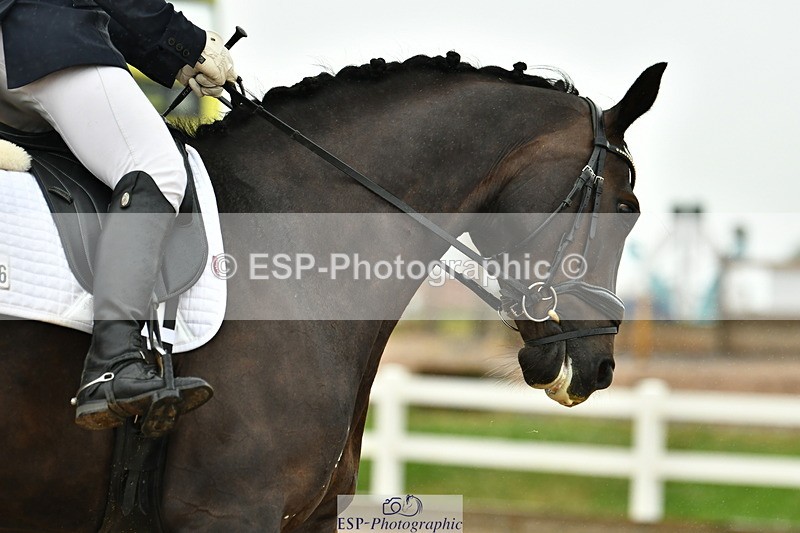 230630A-141104-02502 - Cls 8 Elementary 57