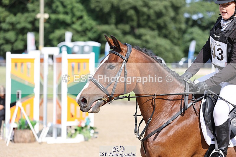 240823X-101500-15435 - 60cm R1 10.00 to 11.30