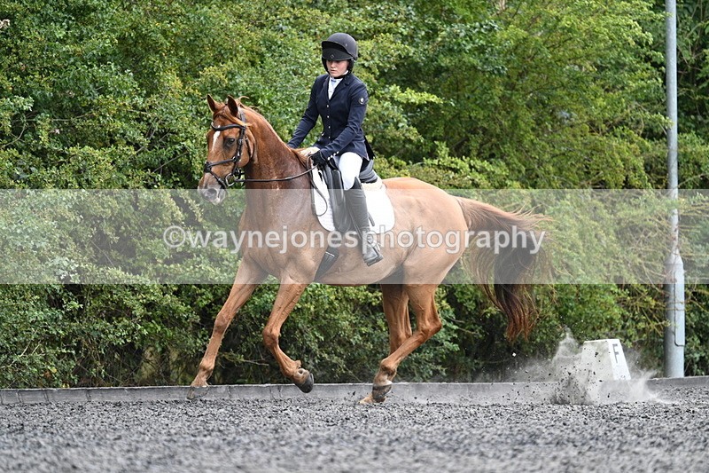 WJ7_7119 - Time 12:53 to 13:18