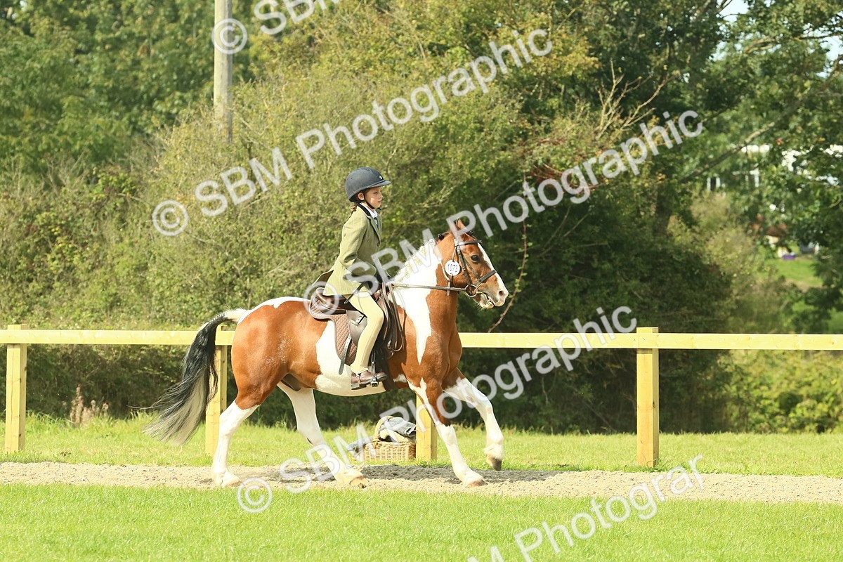SBM_67478 - S56 - Coloured Pony Ridden