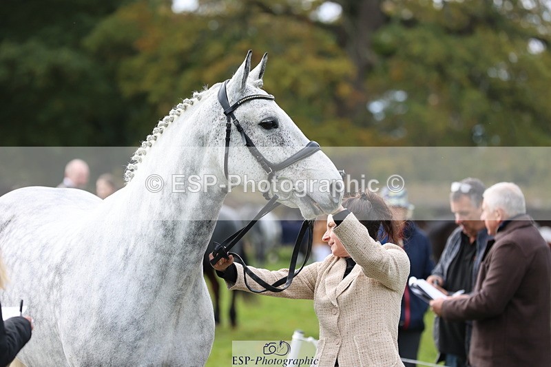 251026A-114522-25666 - F-429-Sarah.Clisby