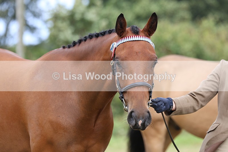 3E7A4464 - Class 15: Three Year Olds