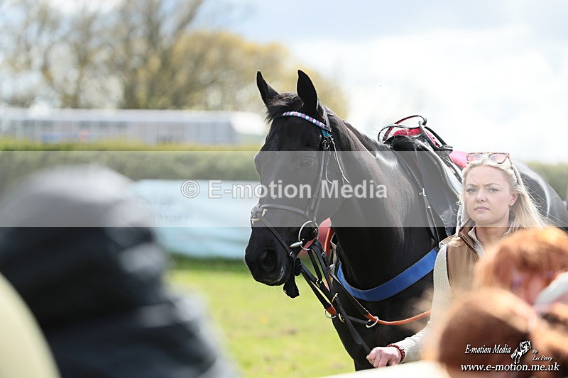 PtP 180426 381 - Worcestershire Hunt PtP Chaddesley Corbett 18/04/26