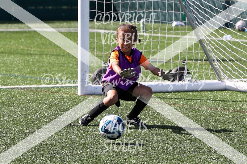 1DX33588 - Sat 13th U7 & U8 Girls