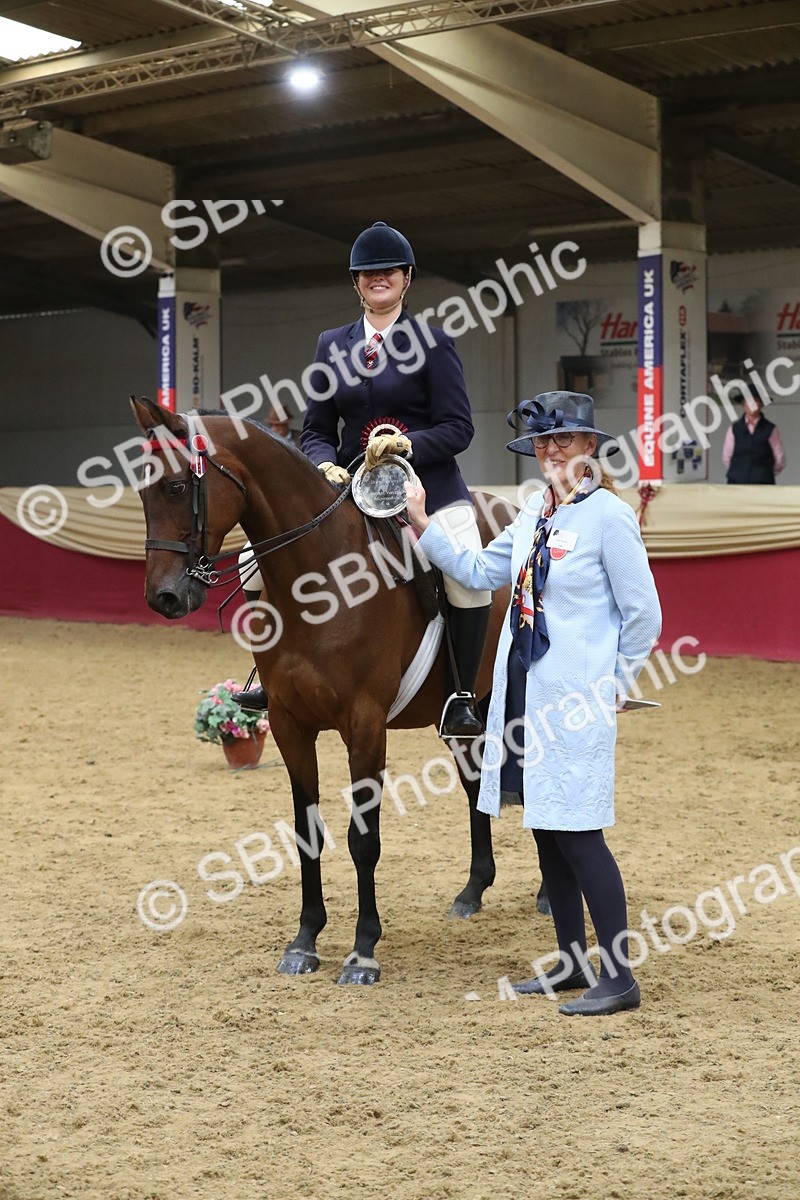 SBM_08464 - Class 11R Regional Ridden Veteran