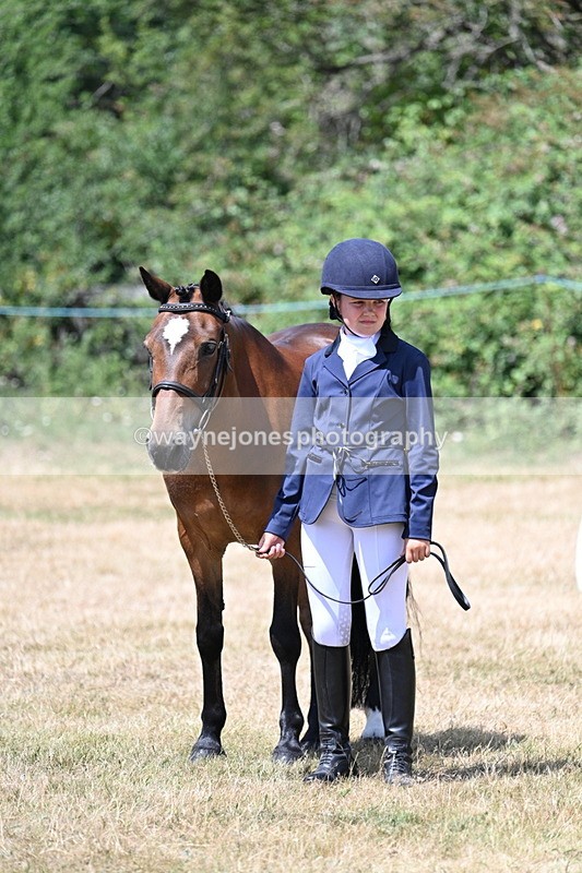 WJ7_2177 - Class 5 Most Handsome Gelding (up to 14.2hh) in hand