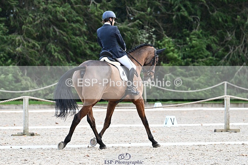 231110-143223-01951 - Cls 8 Medium 75Q