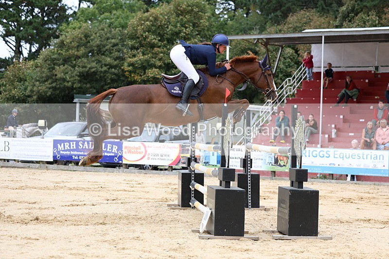 3E7A3365 - Class 9: Senior Foxhunter/1.20 open