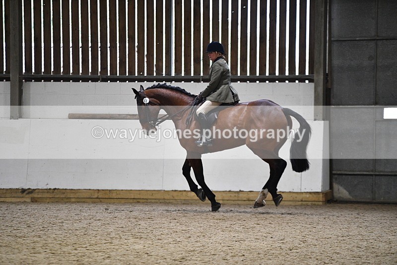 WJ5_9007 - Class 15 Ridden Show Horse