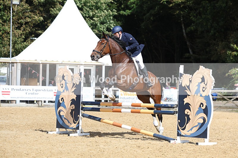 3E7A9385 - Class 9: Senior British Novice/90cm open