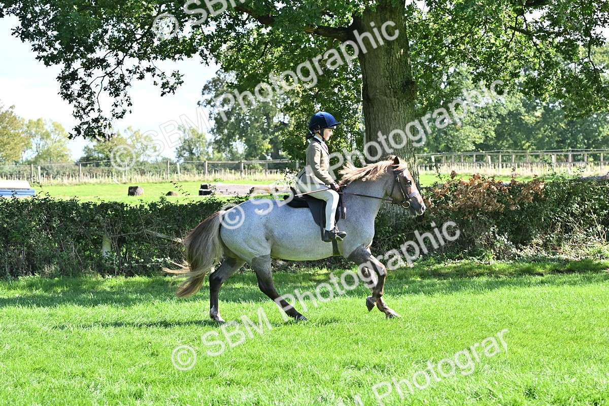 SBM_44546 - S13 - Pony Club Pony