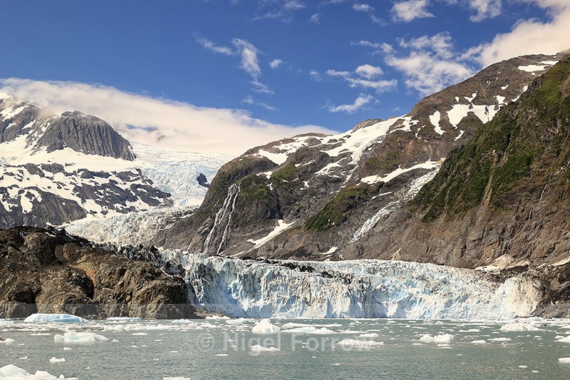 Surprise Glacier, Prince William Sound, Alaska - Alaska, USA