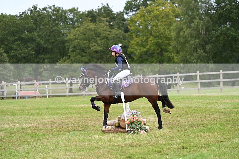 WJ7_7366 - 40cm Time 10:06 to 10:24