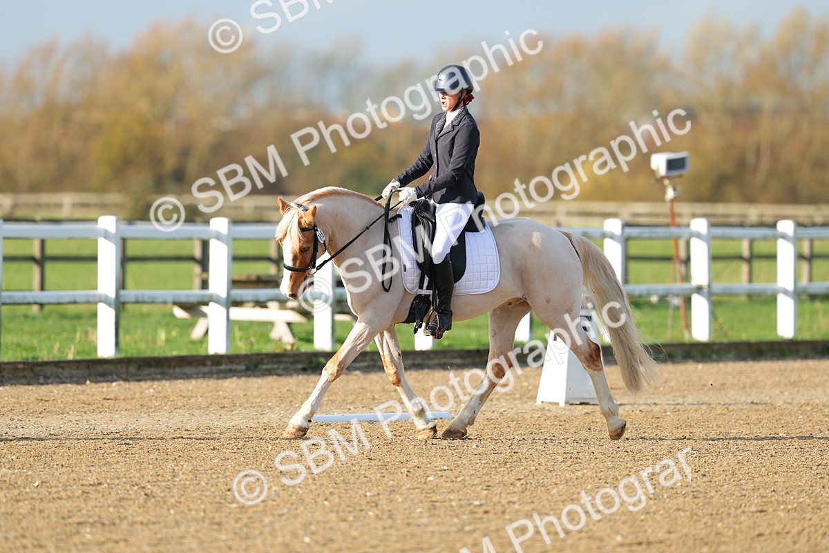 SBM_003017 - Class 2 - Intro 3