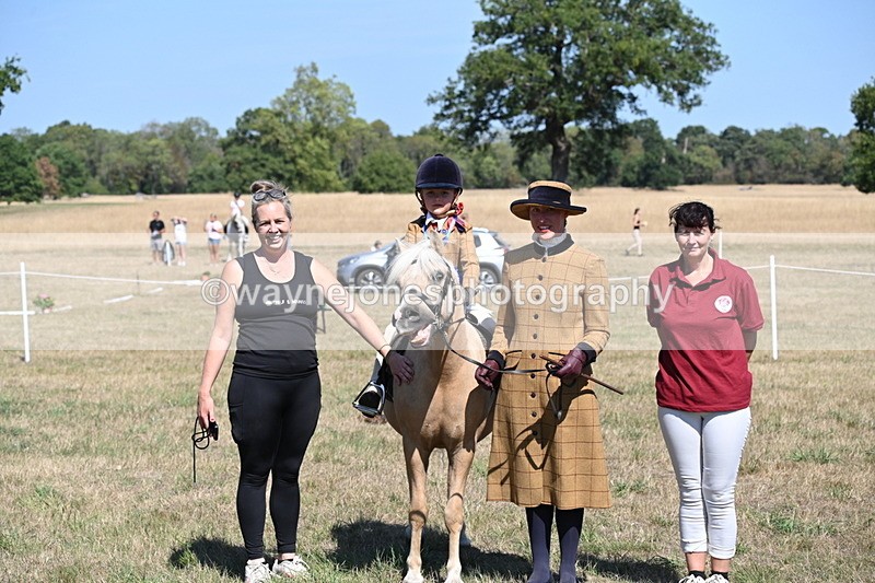 WJ6_8135 - Class 36 Lead Rein