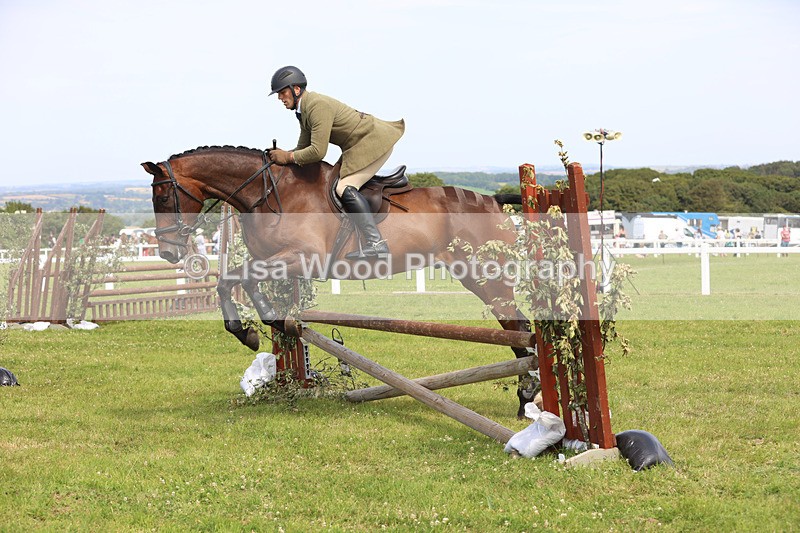 JPP_3771 - Class 23: Working Hunter 80cm