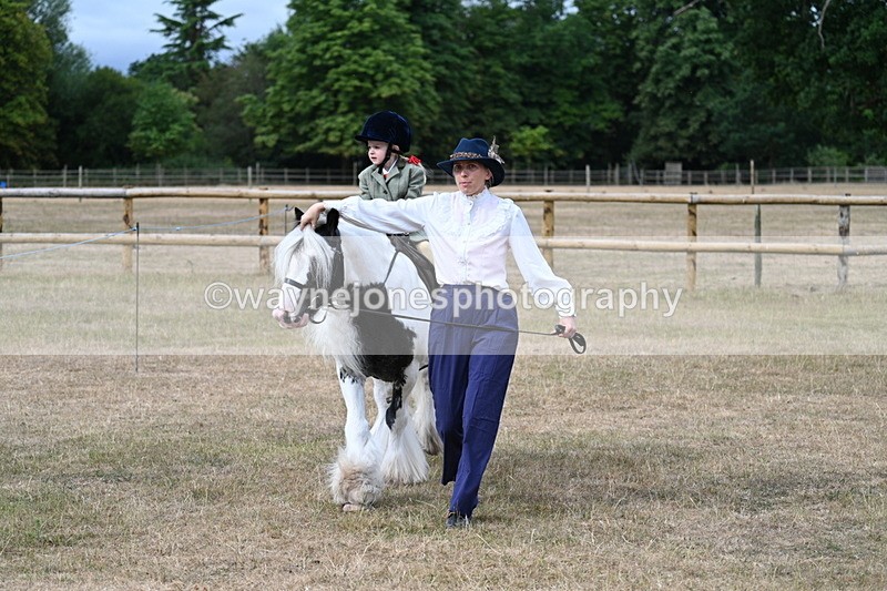 WJ7_6255 - Class 1 Lead Rein Pony