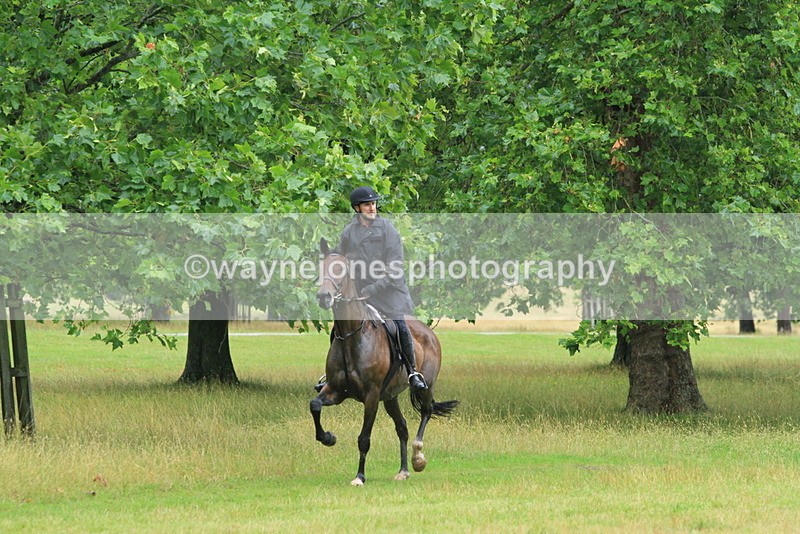 IMF_2956 - Time at Castle Jump 14:17 to 15:00