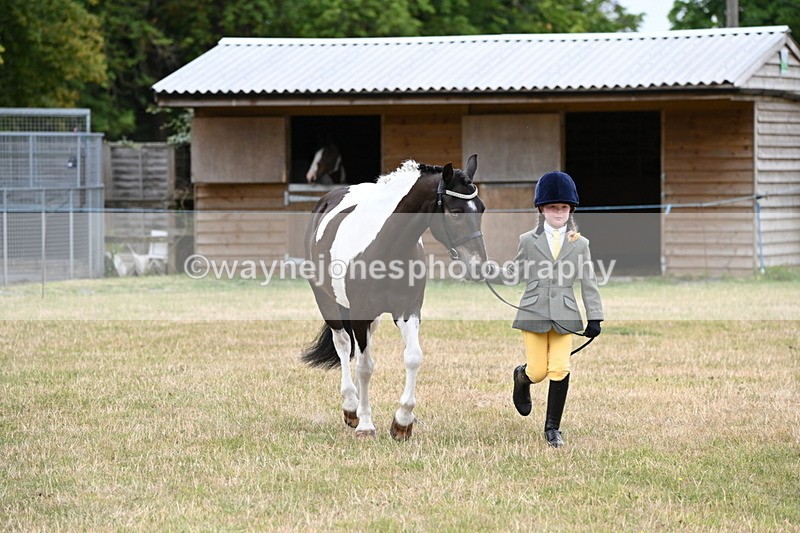 WJ6_4337 - Class 10 Coloured In-hand