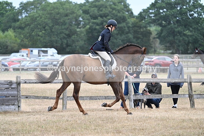 WJ7_0886 - Class 7 Riding Club Show Horse