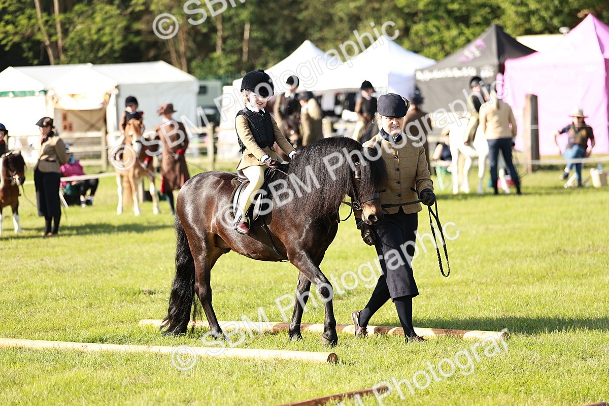SBM_11152 - Class 106-107 - BSPS LIHS Working Sports Pony