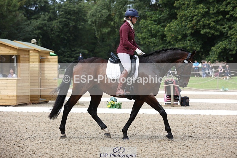 230812-104755-03353 - Cls 5 Novice Bronze Start to 10.55 break